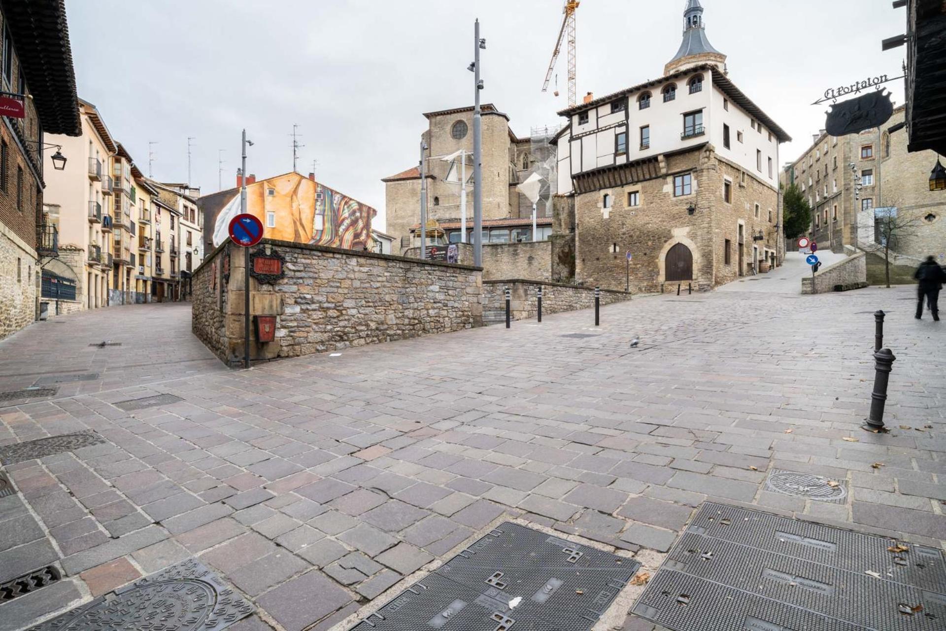 Appartamento Limehome Palacio De Alava-velasco